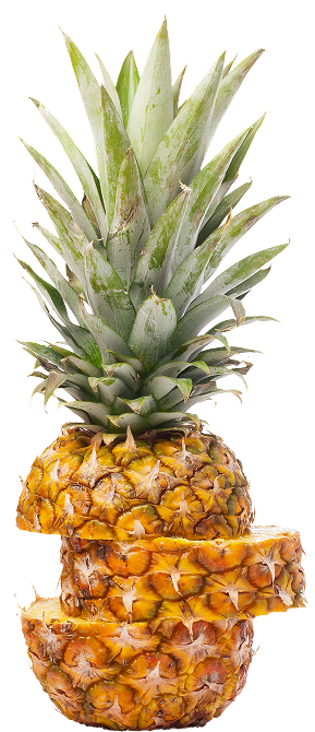 Ananas fruit
